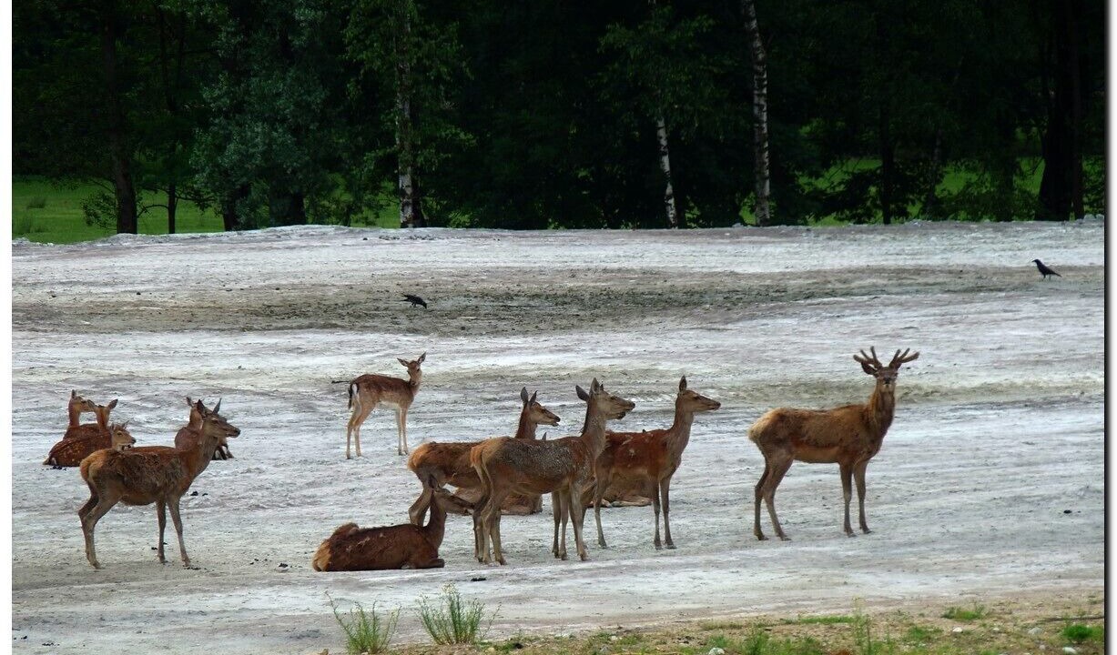 Photo of Outdoor in Montecrestese