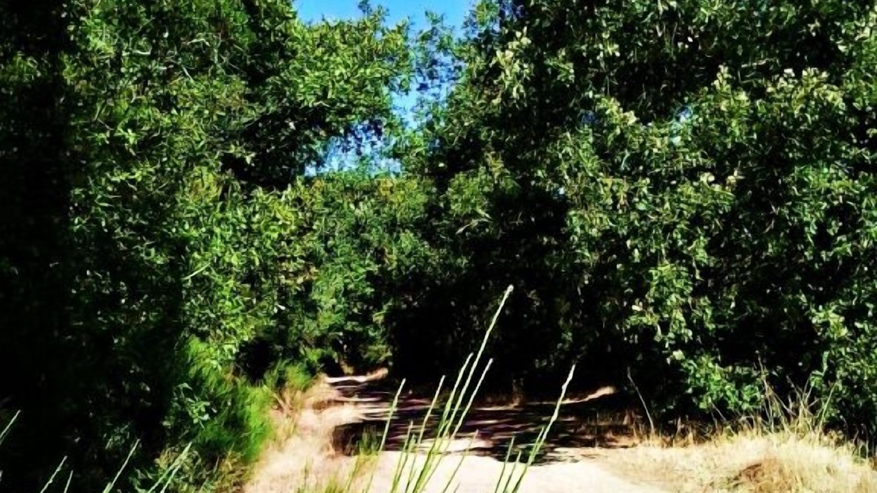 Photo of Outdoor in Santibanez de la Sierra