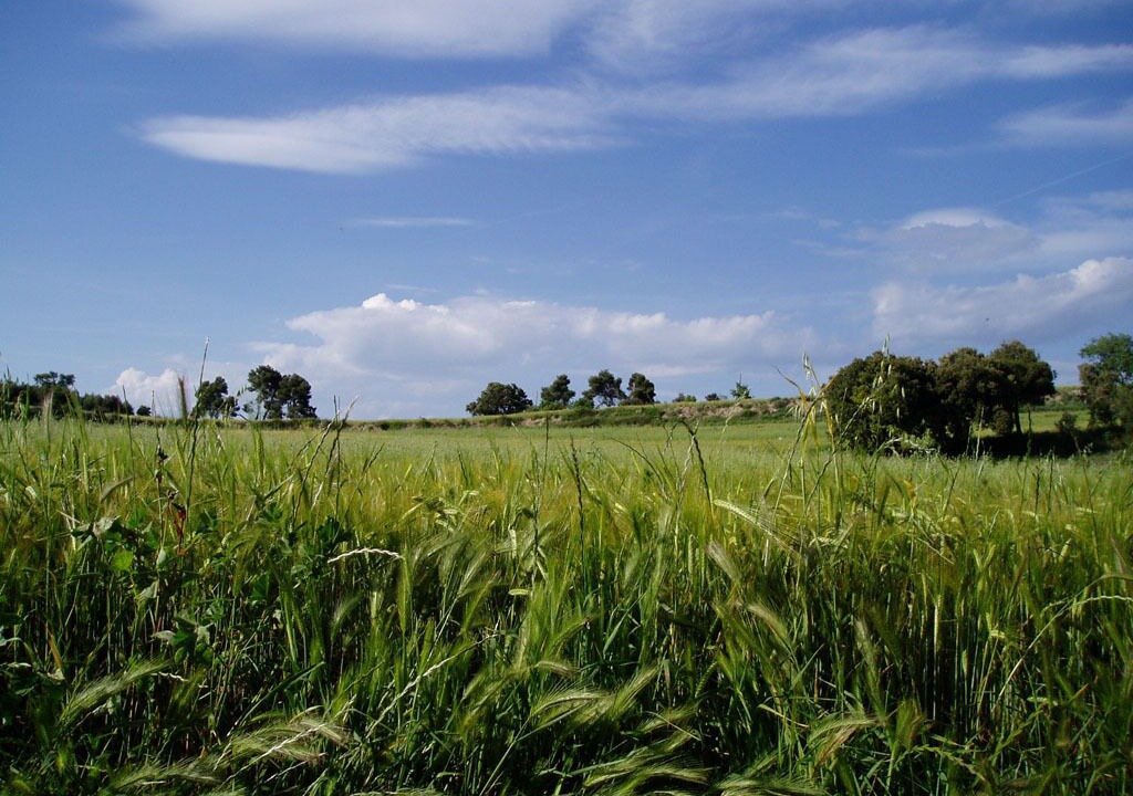 Photo of Outdoor in Fonollosa