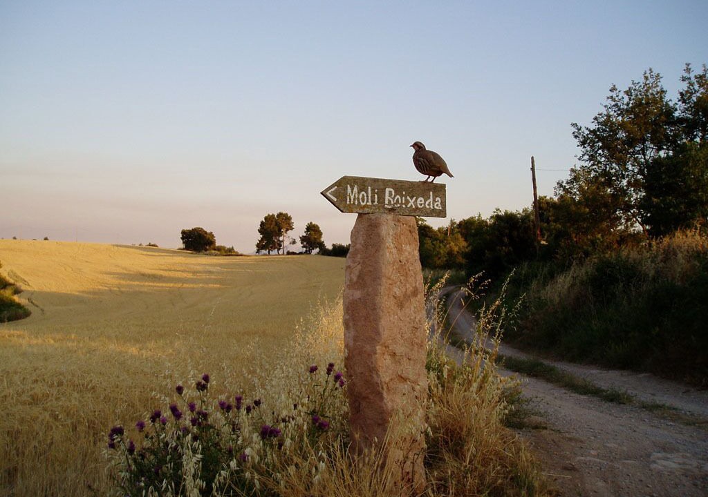 Photo of Others in Fonollosa