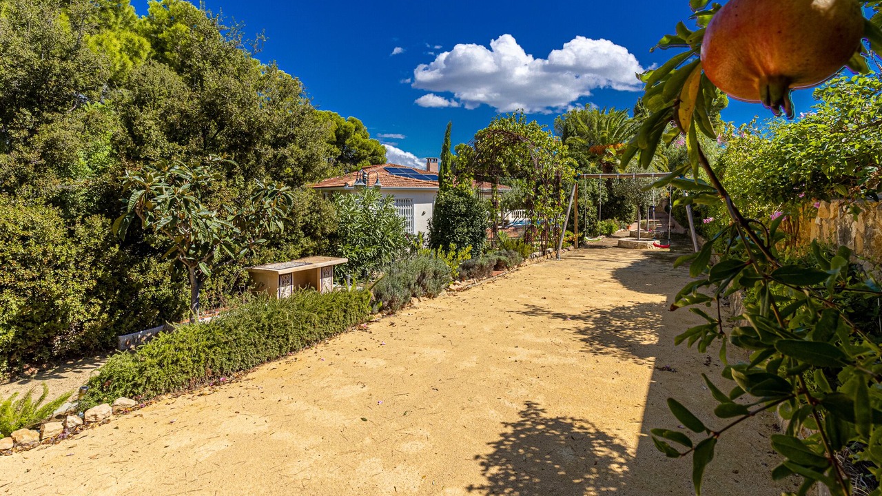 Photo of Outdoor in La Colina