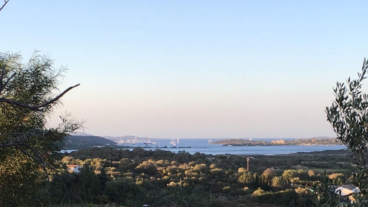 Photo of Others in Olbia