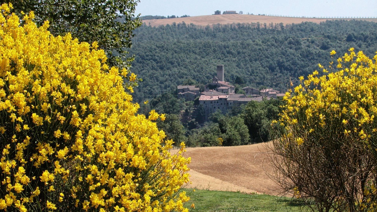 Photo of Outdoor in San Venanzo