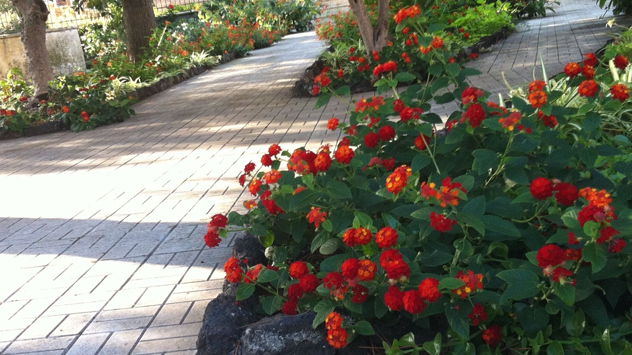 Photo of Outdoor in Ognina