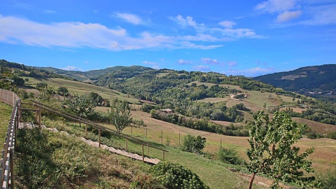 Photo of Outdoor in Montelabbate