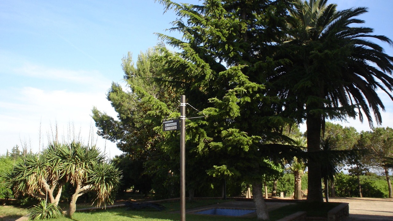 Photo of Outdoor in Riudoms