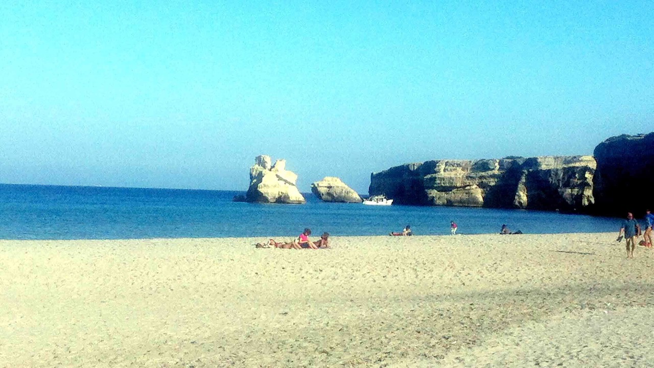 Photo of Others in Gallipoli