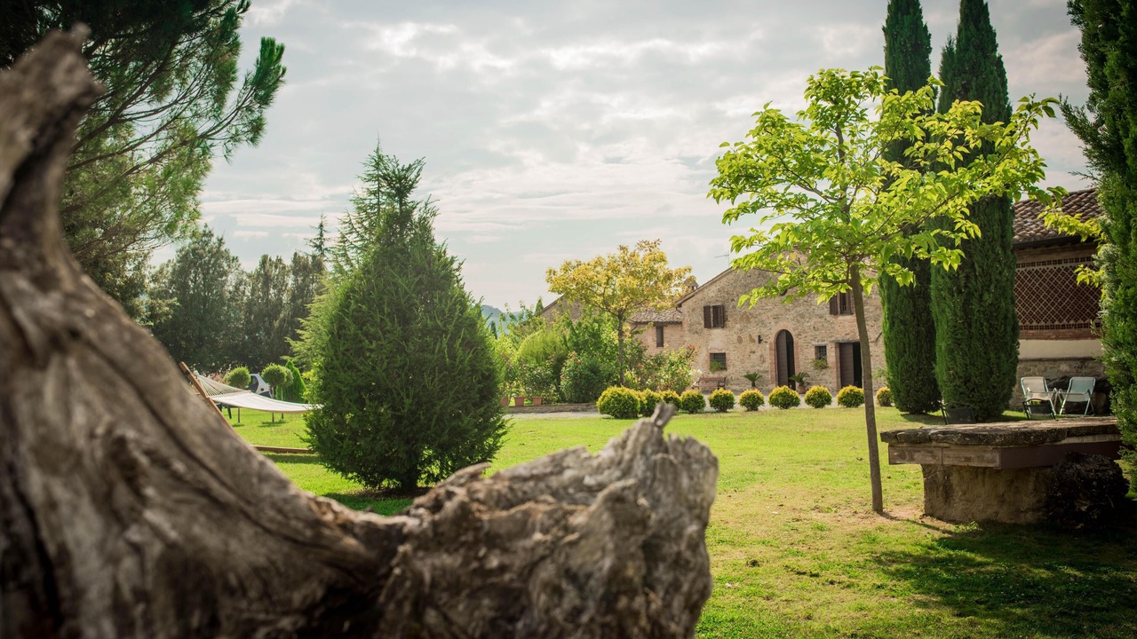 Photo of Outdoor in Teverina di Cortona