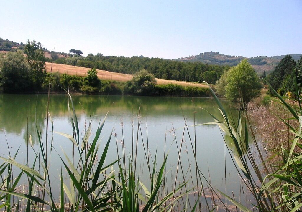Photo of Others in Teverina di Cortona