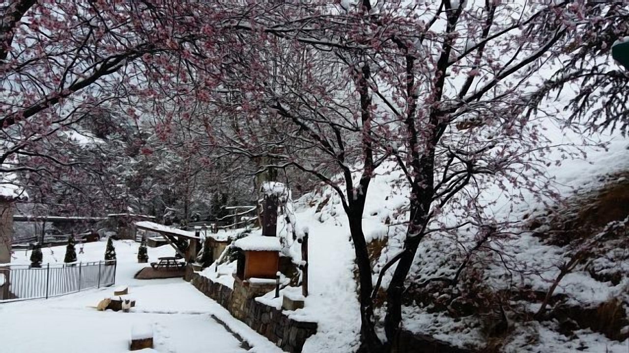 Photo of Outdoor in Sant Joan de Les Abadesses