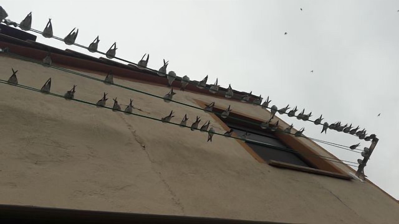 Photo of Outdoor in Graus