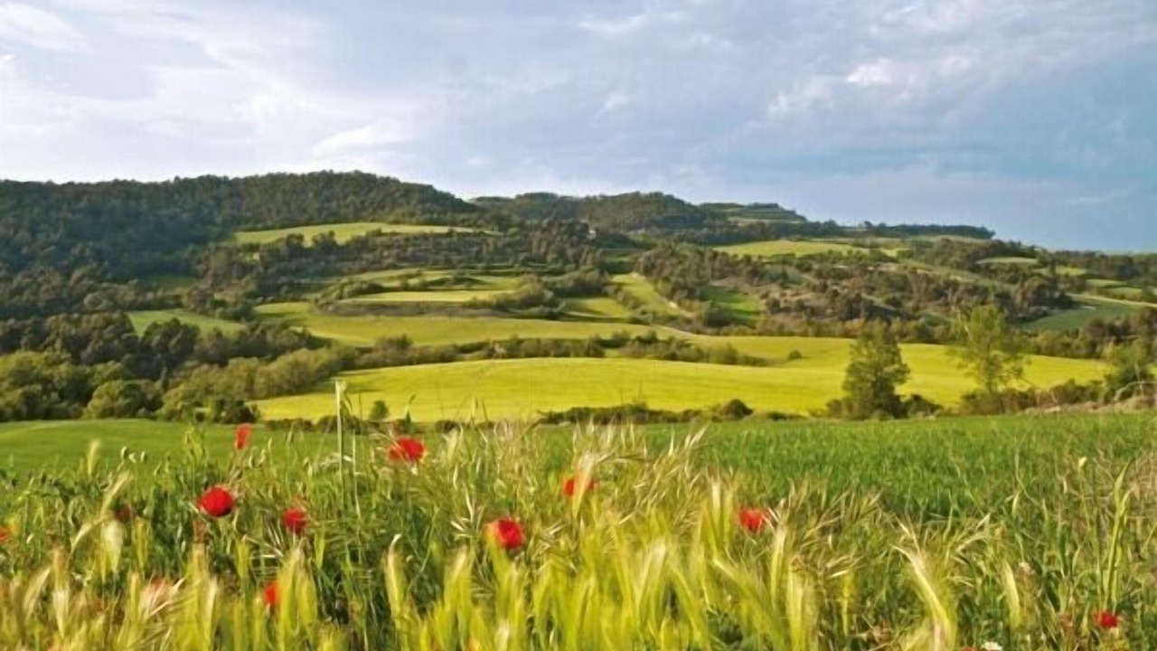 Photo of Others in La Cirera