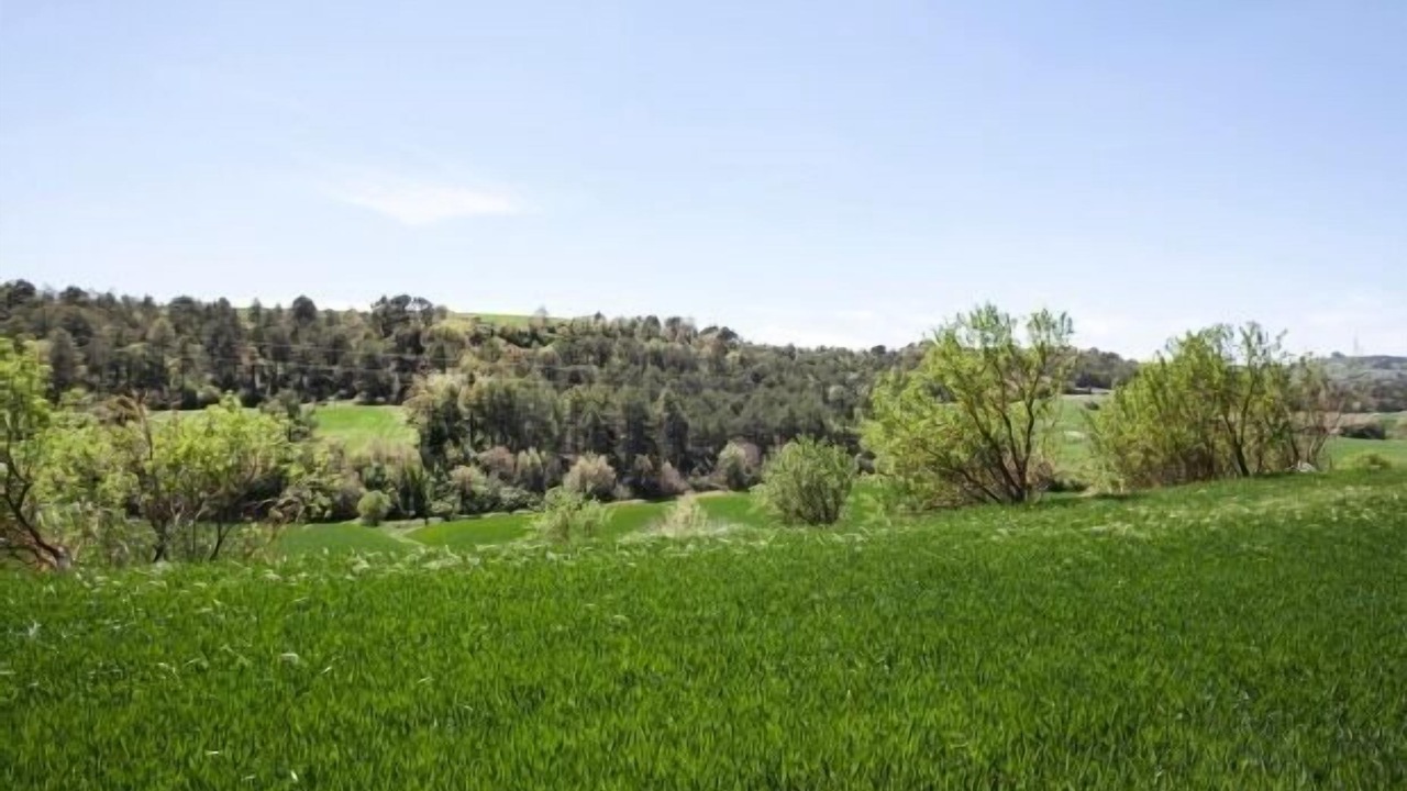 Photo of Outdoor in La Cirera
