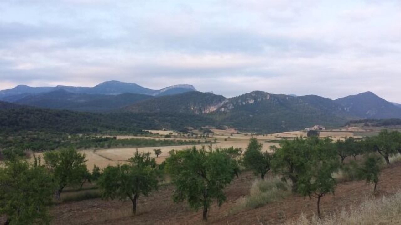 Photo of Others in Penarroya de Tastavins