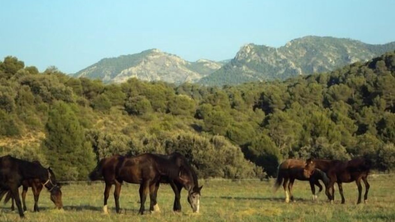 Photo of Outdoor in Penarroya de Tastavins