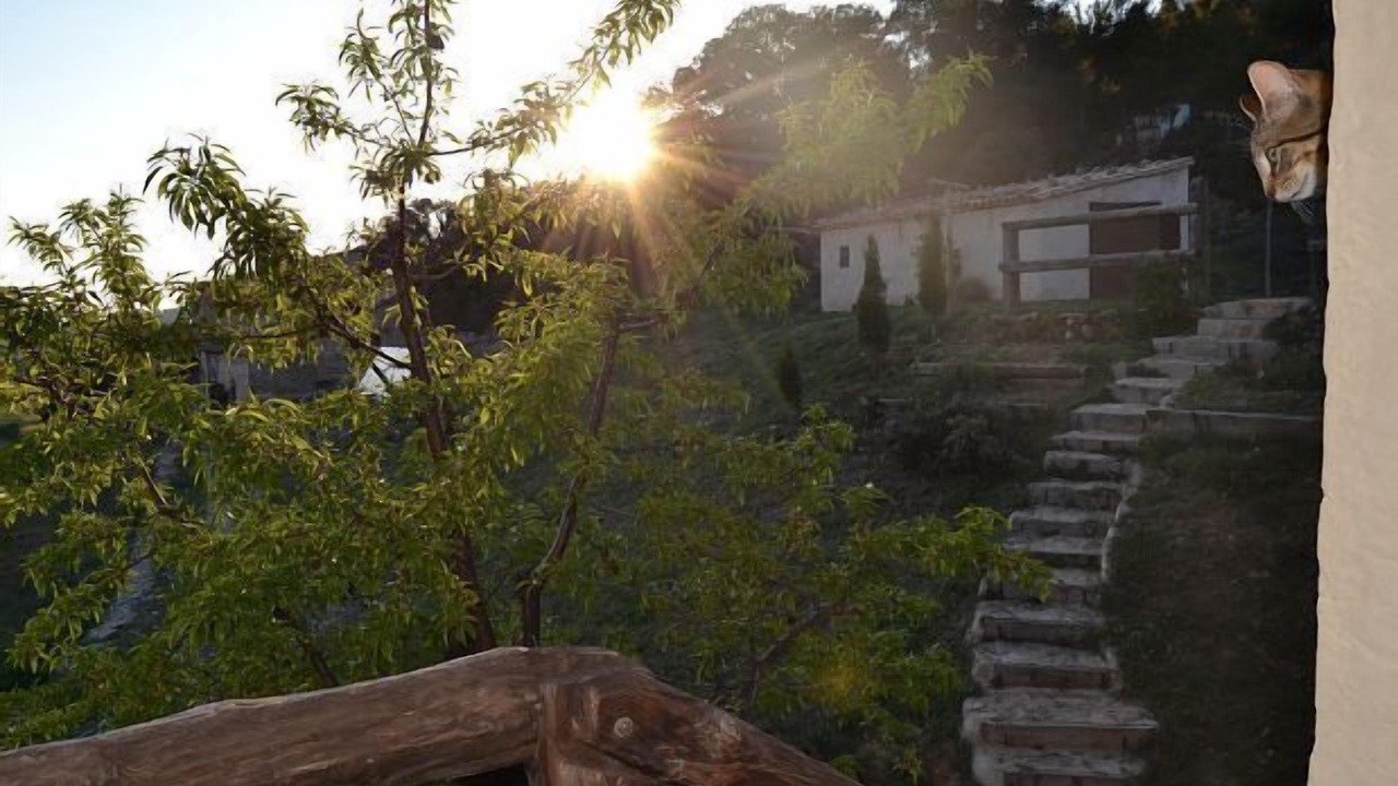 Photo of Outdoor in Penarroya de Tastavins