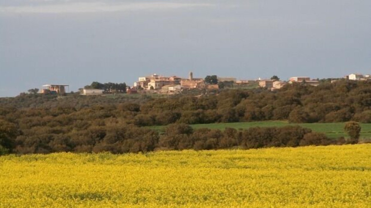 Photo of Others in Oliola
