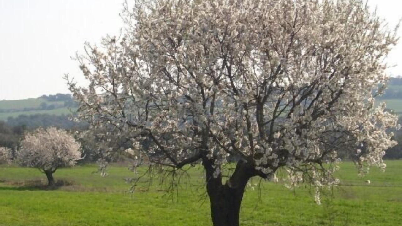 Photo of Outdoor in Oliola