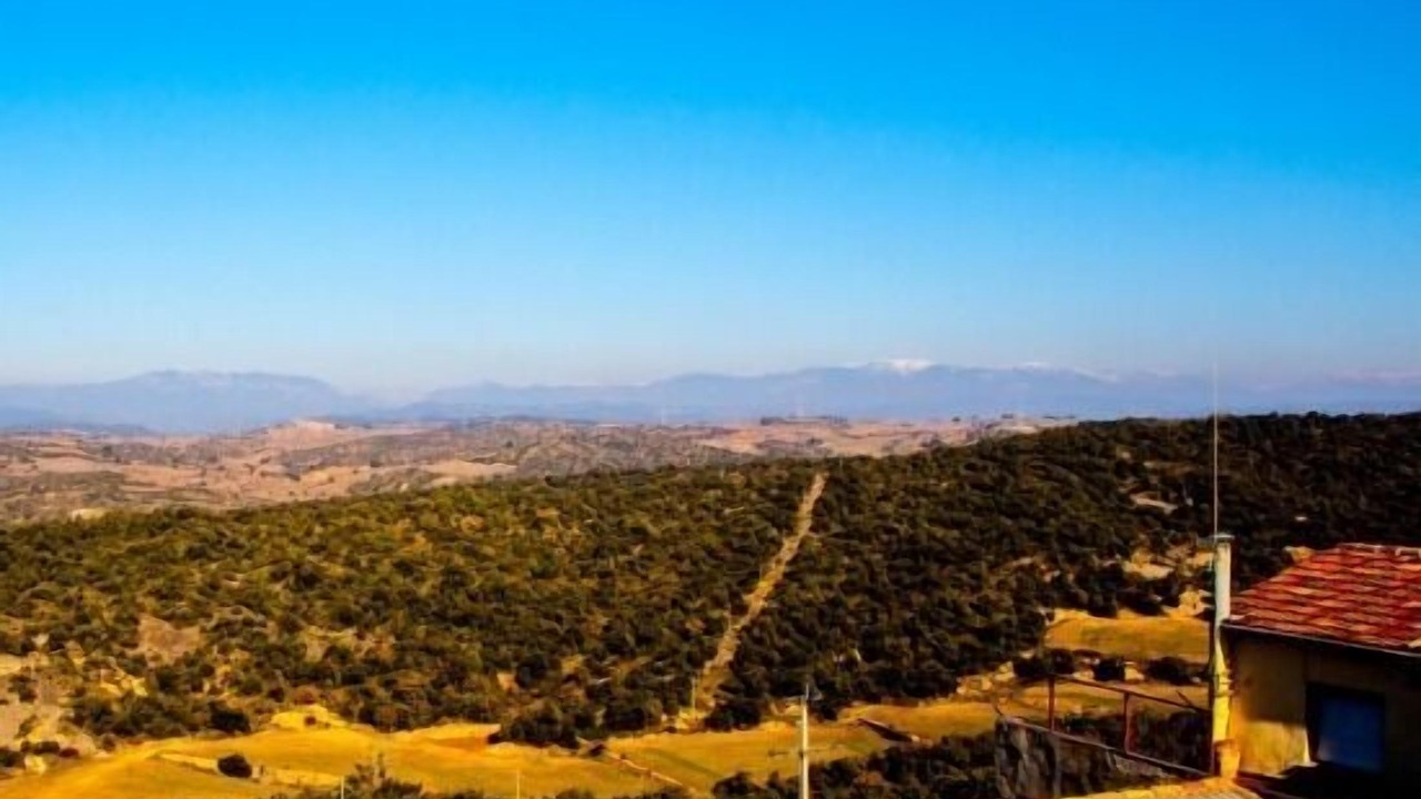 Photo of Outdoor in Oliola