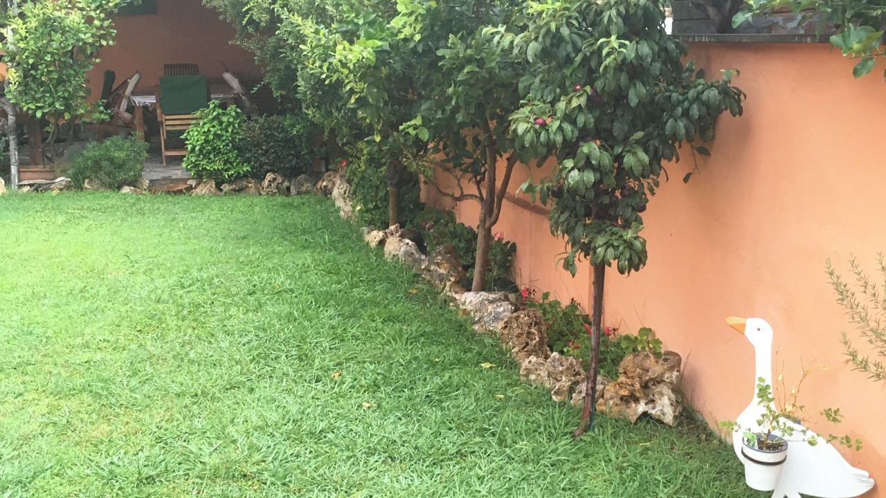 Photo of Outdoor in Zona XXX Castel Fusano