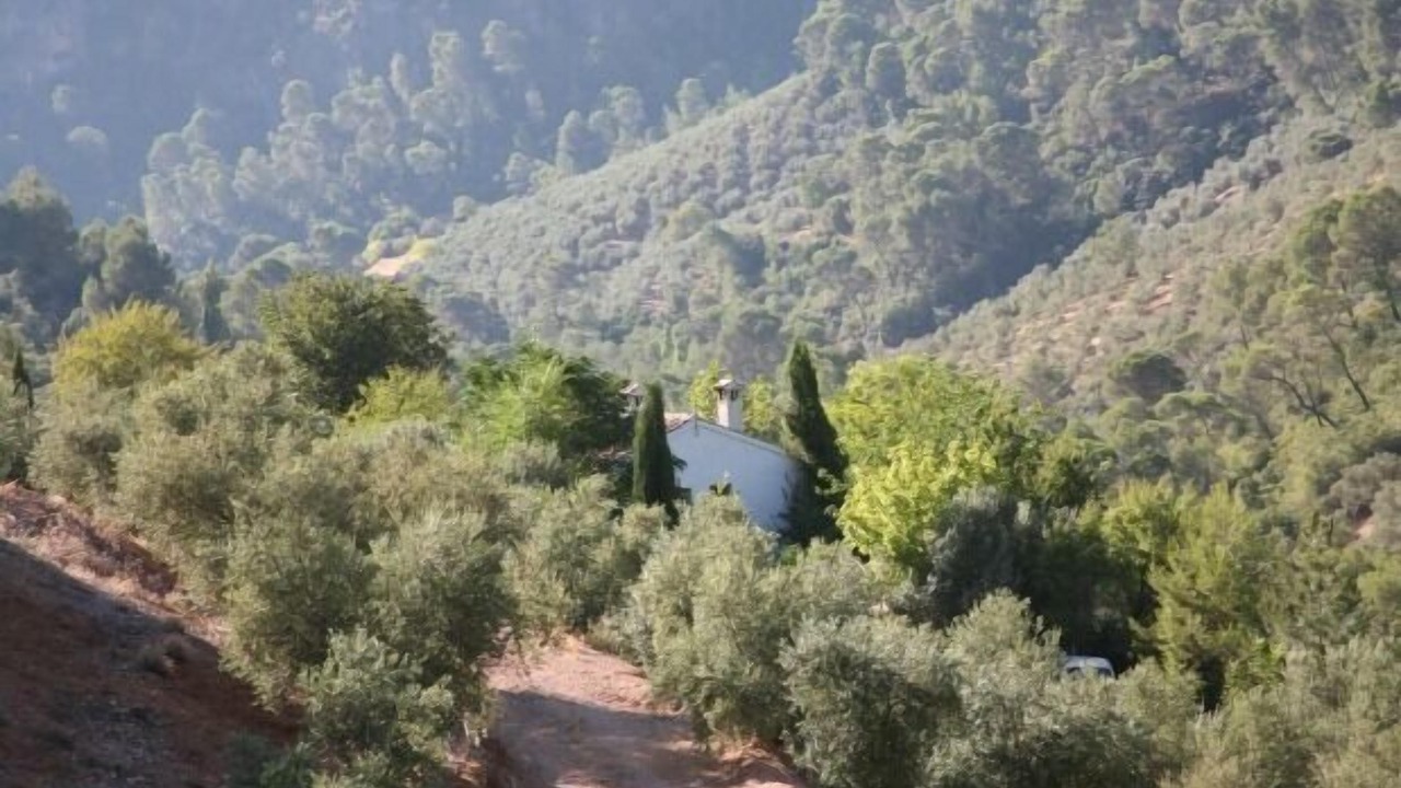 Photo of Outdoor in Villanueva del Arzobispo