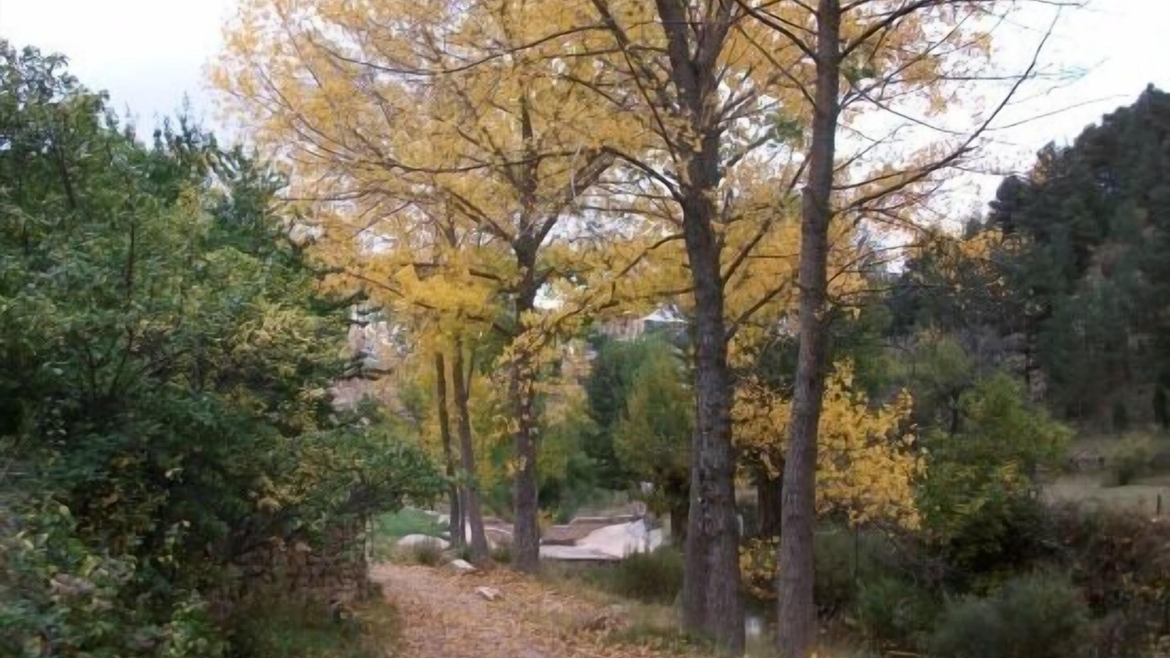 Photo of Outdoor in Fuentes de Rubielos