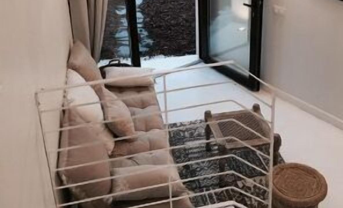 Photo of Others in Pinofranqueado