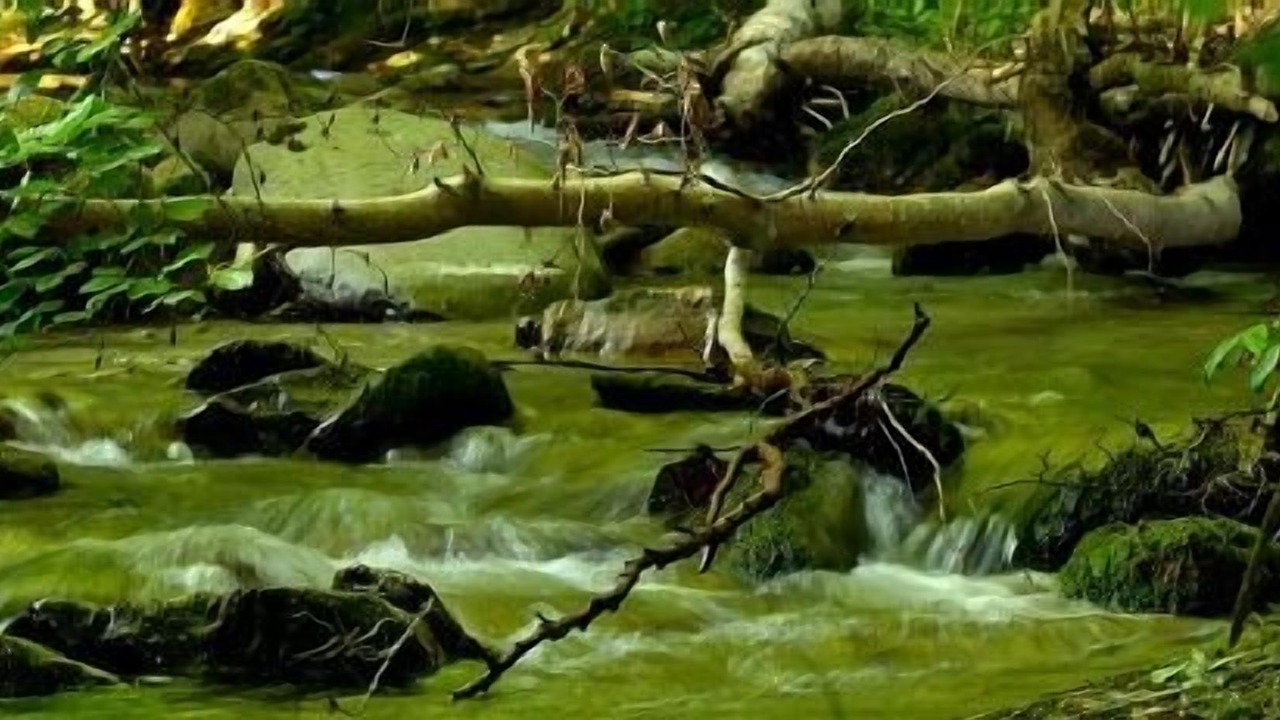 Photo of Outdoor in Erro