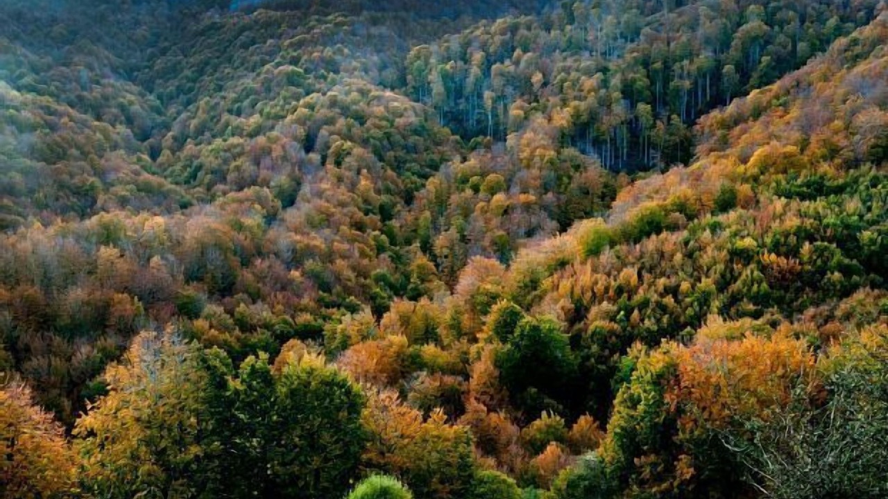 Photo of Outdoor in Erro