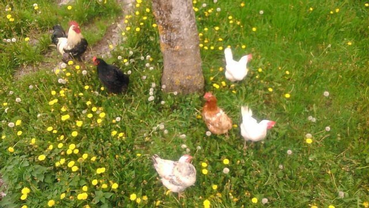 Photo of Outdoor in Erro