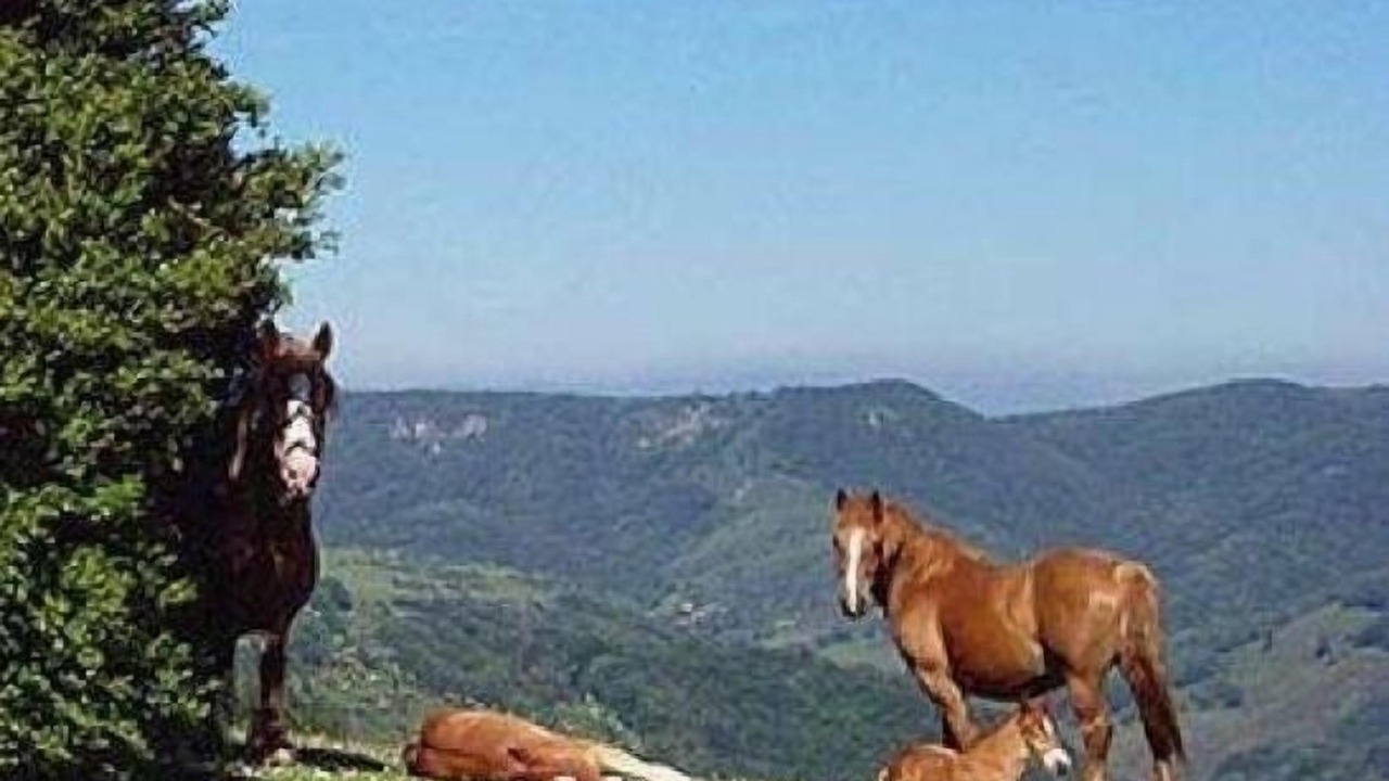Photo of Others in Erro