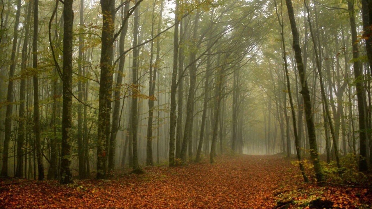 Photo of Outdoor in Erro