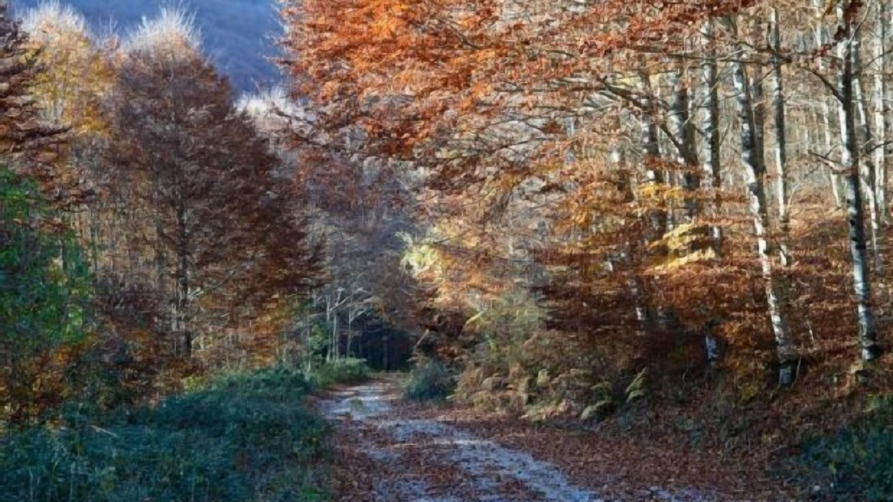 Photo of Outdoor in Erro