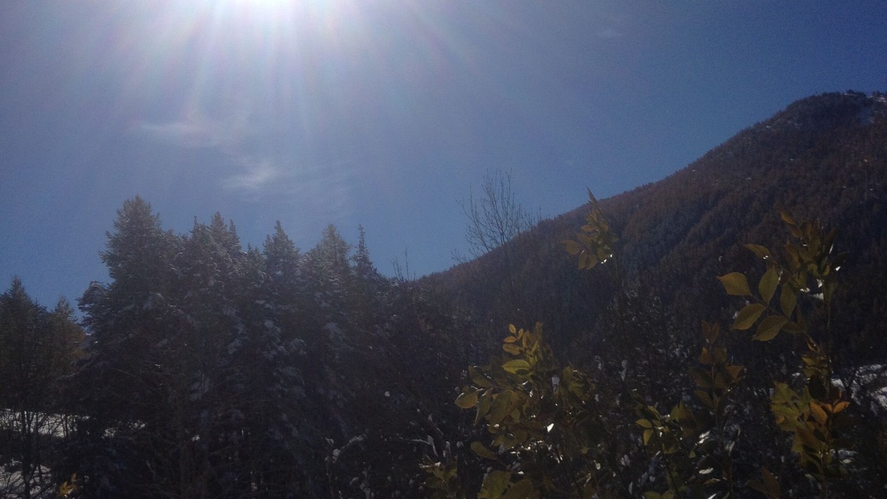 Photo of Others in Sestriere