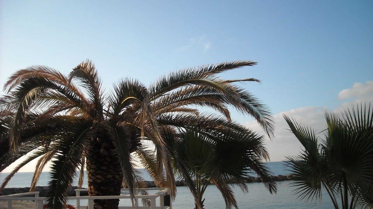 Photo of Outdoor in Terzorio