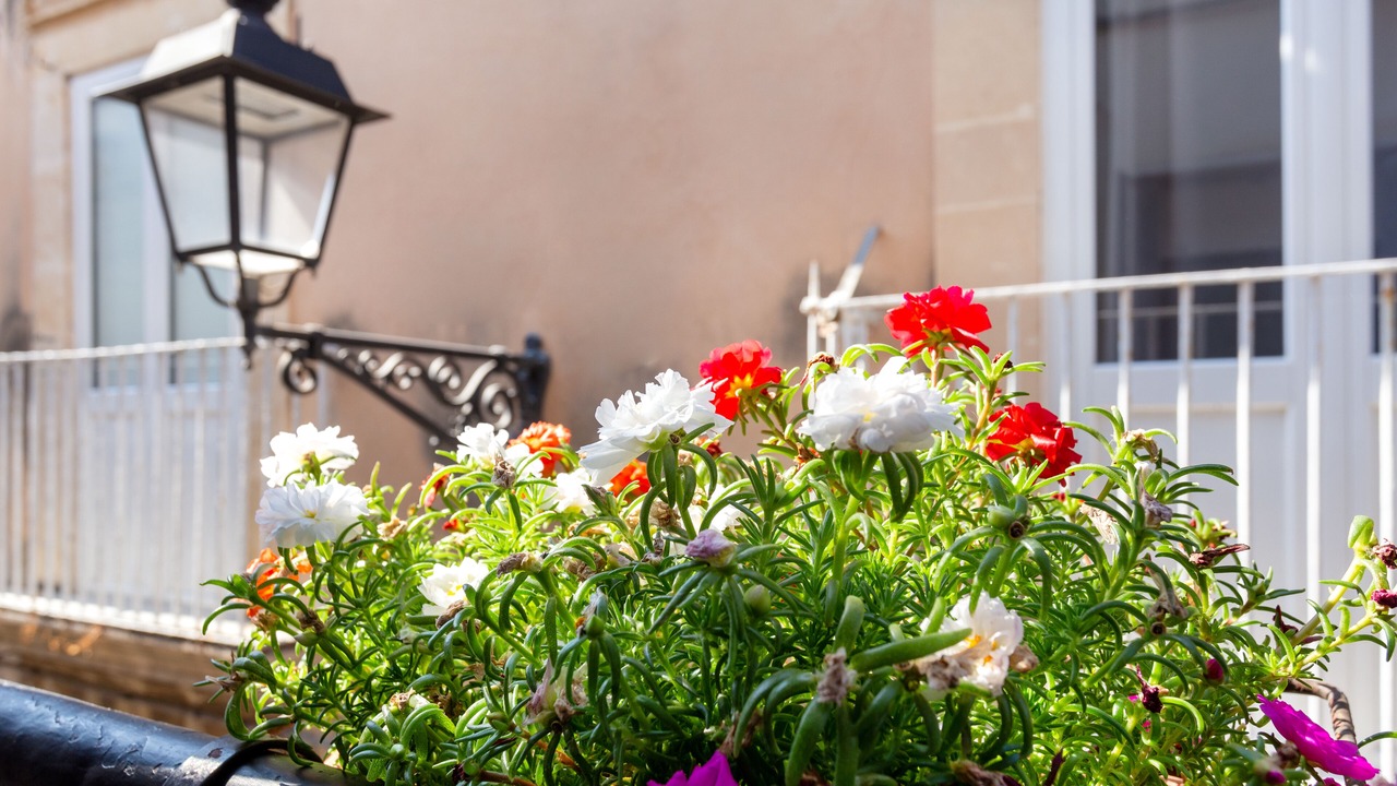 Photo of Outdoor in Ortigia