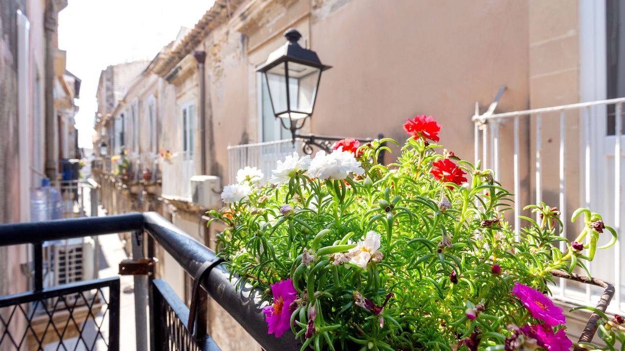 Photo of Outdoor in Ortigia