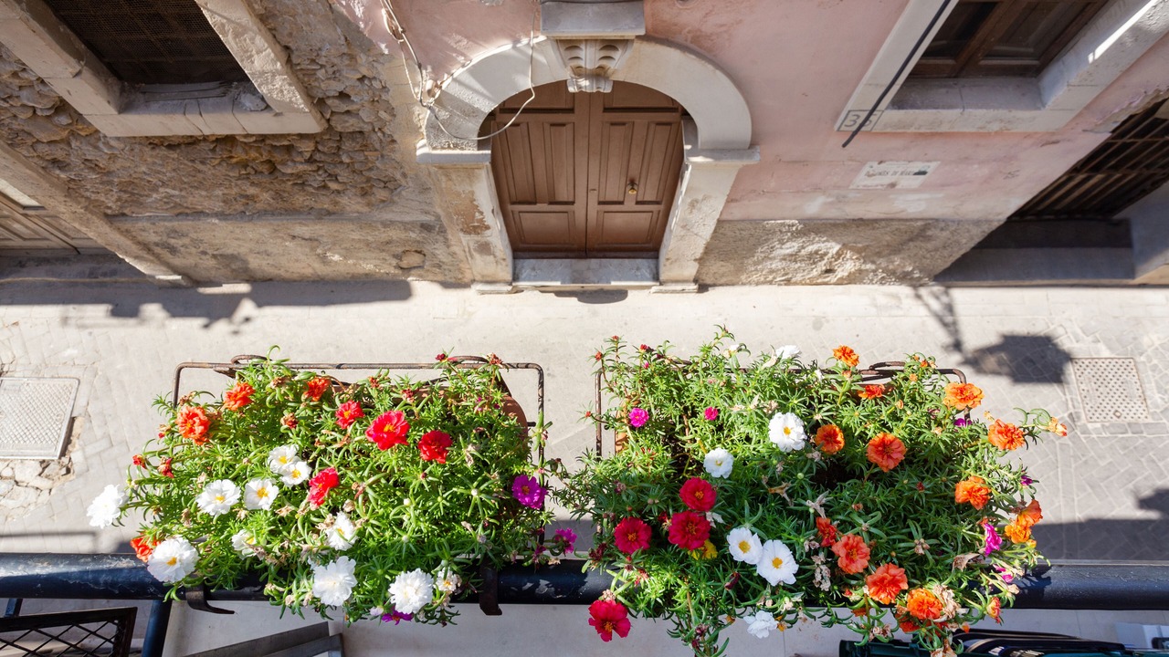 Photo of Outdoor in Ortigia