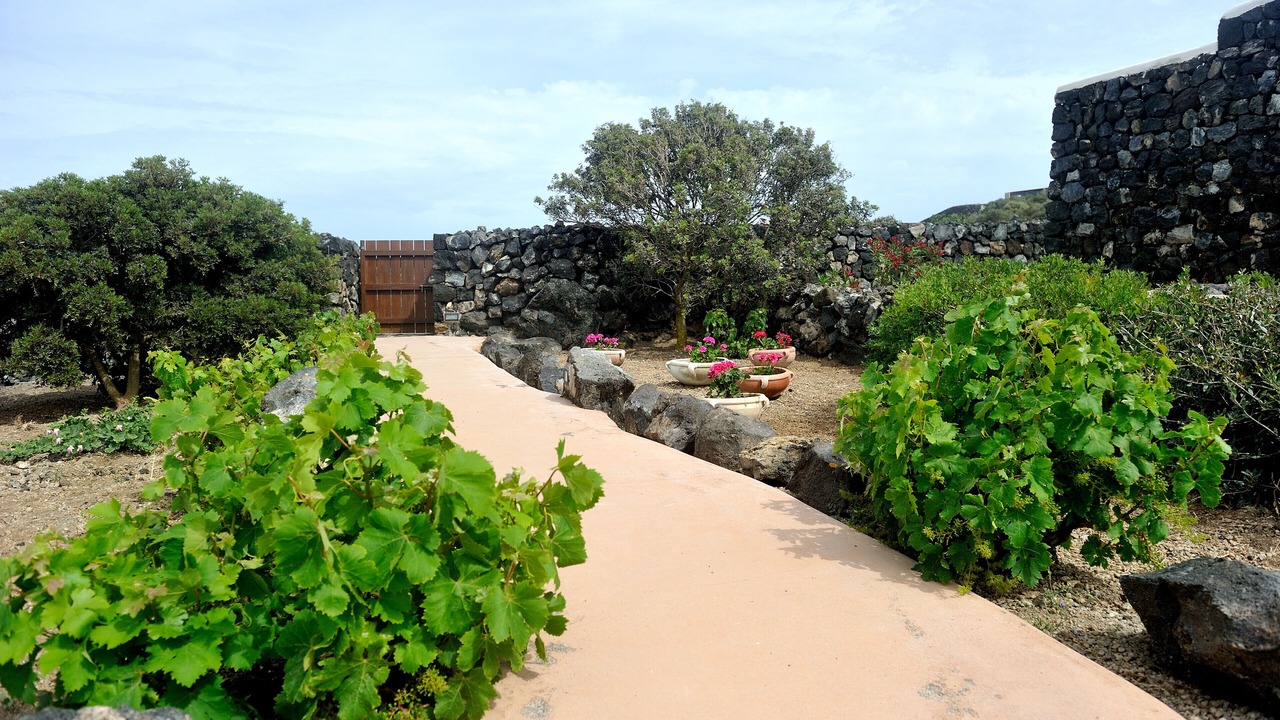 Photo of Outdoor in Kamma