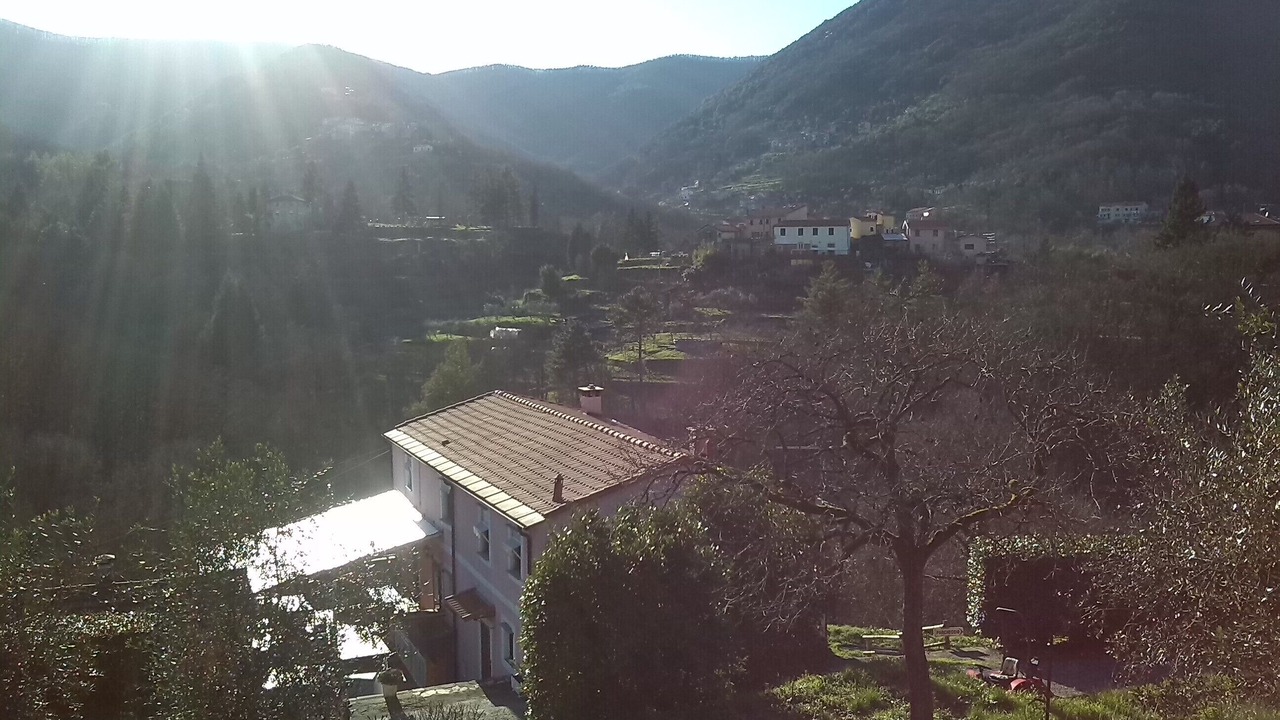 Photo of Outdoor in La Foce