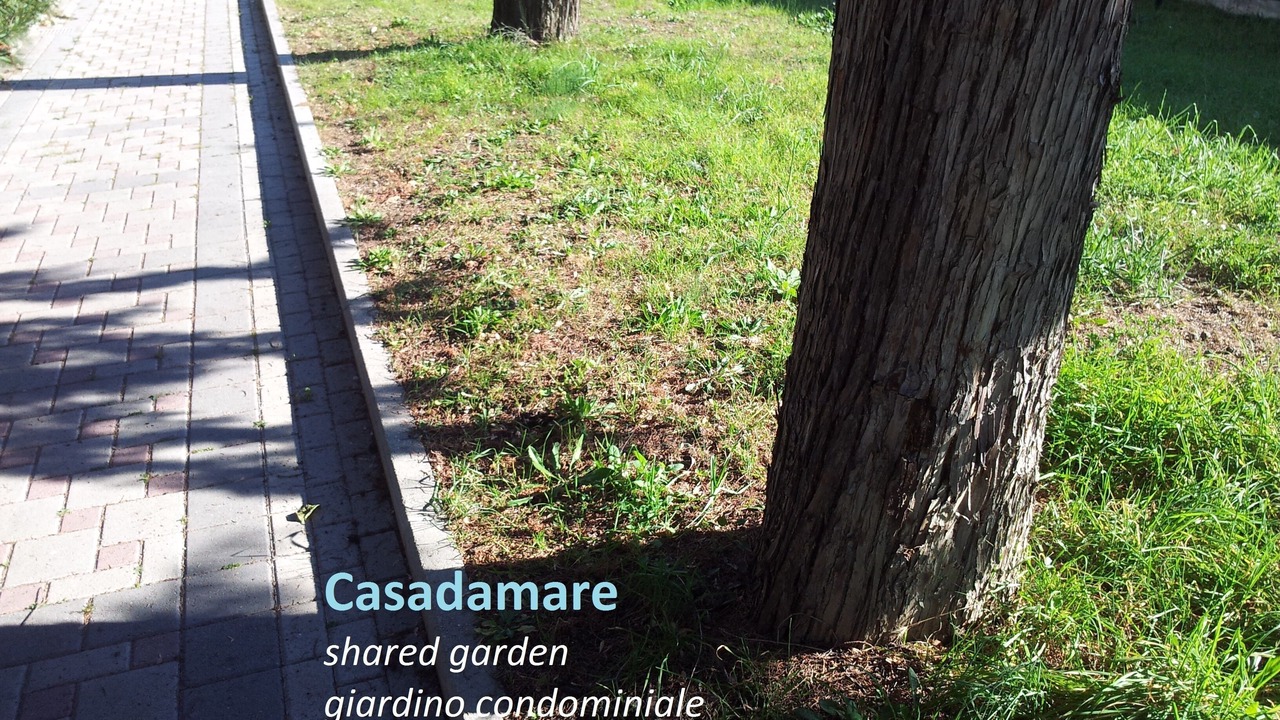 Photo of Outdoor in Montesilvano