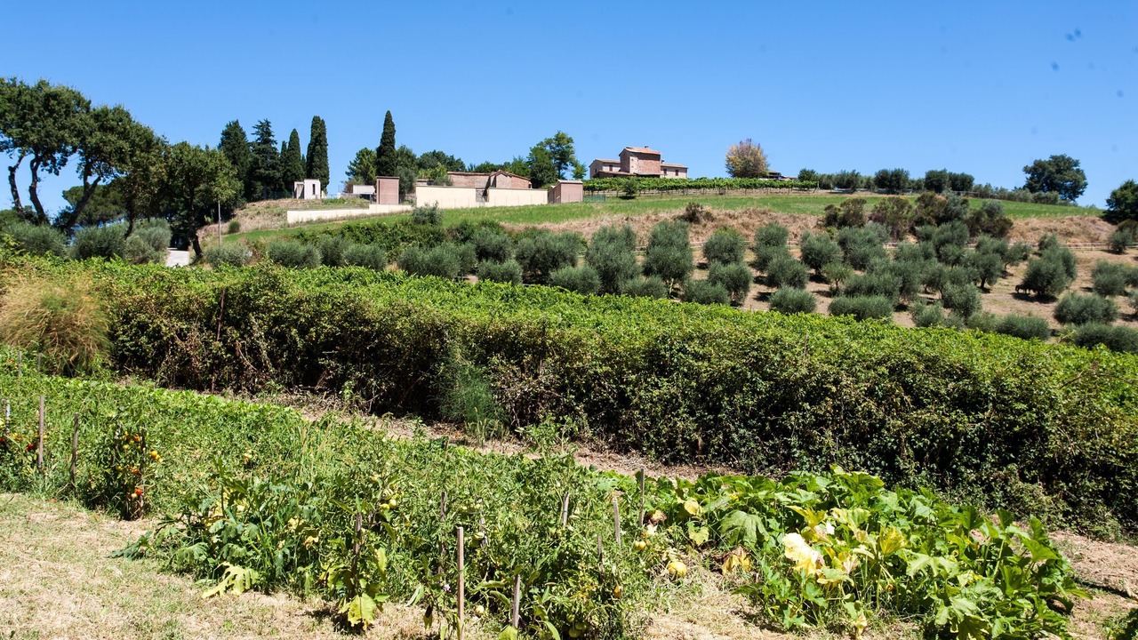 Photo of Outdoor in Ramazzano