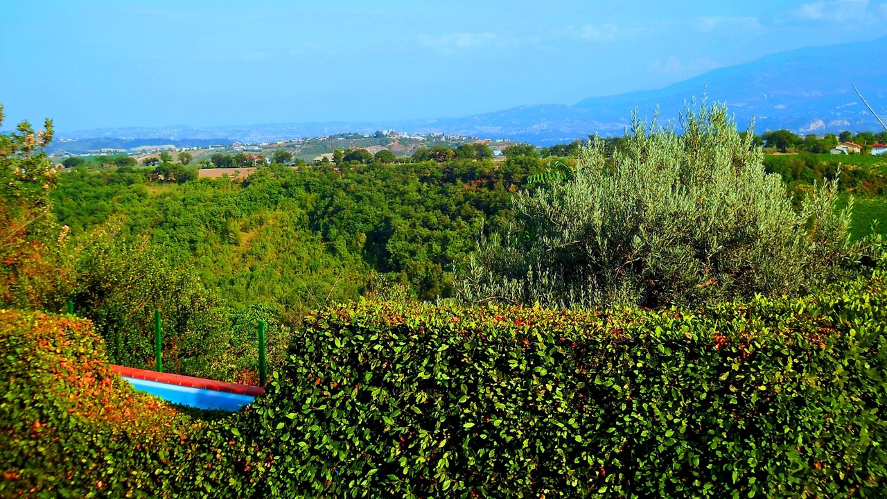 Photo of Others in Catignano