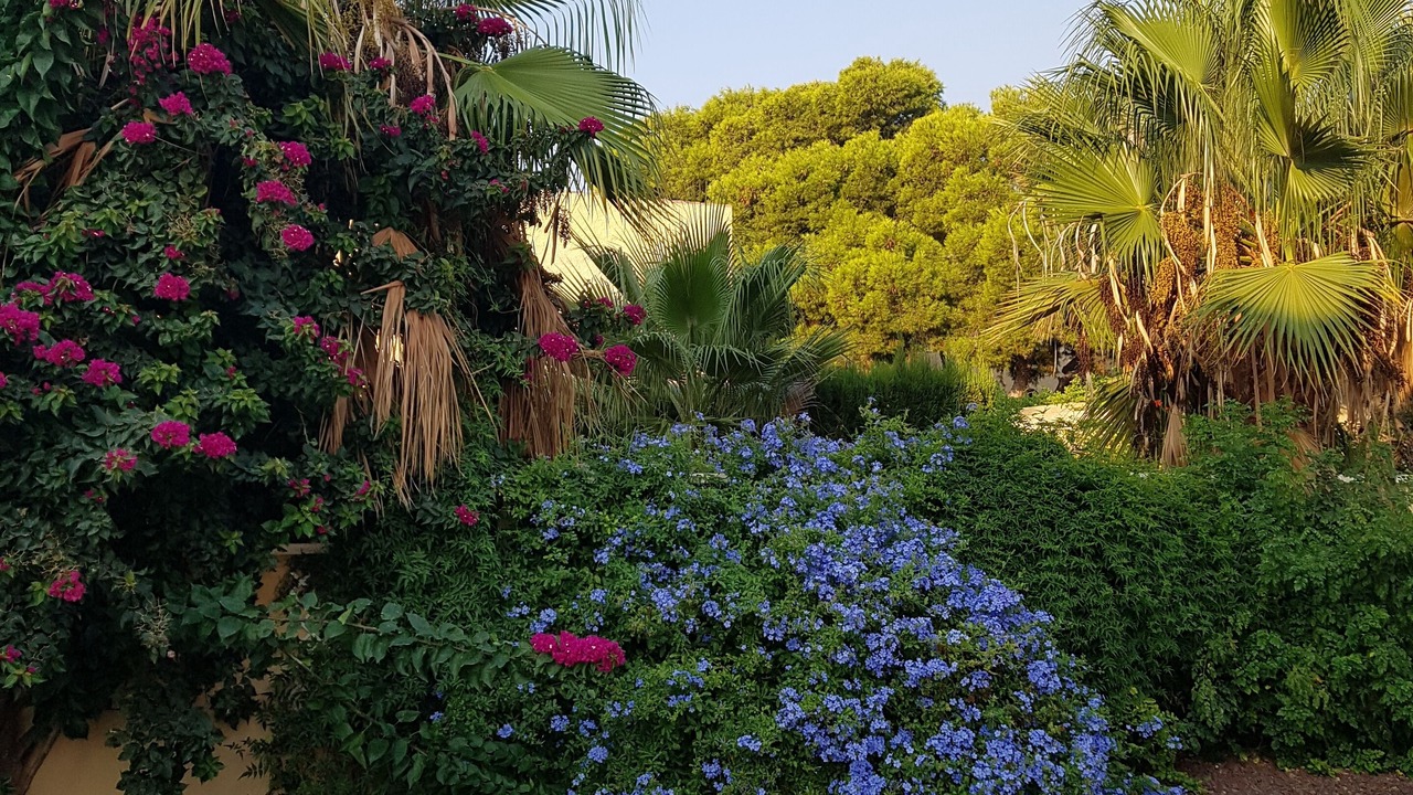 Photo of Outdoor in Los Puertos