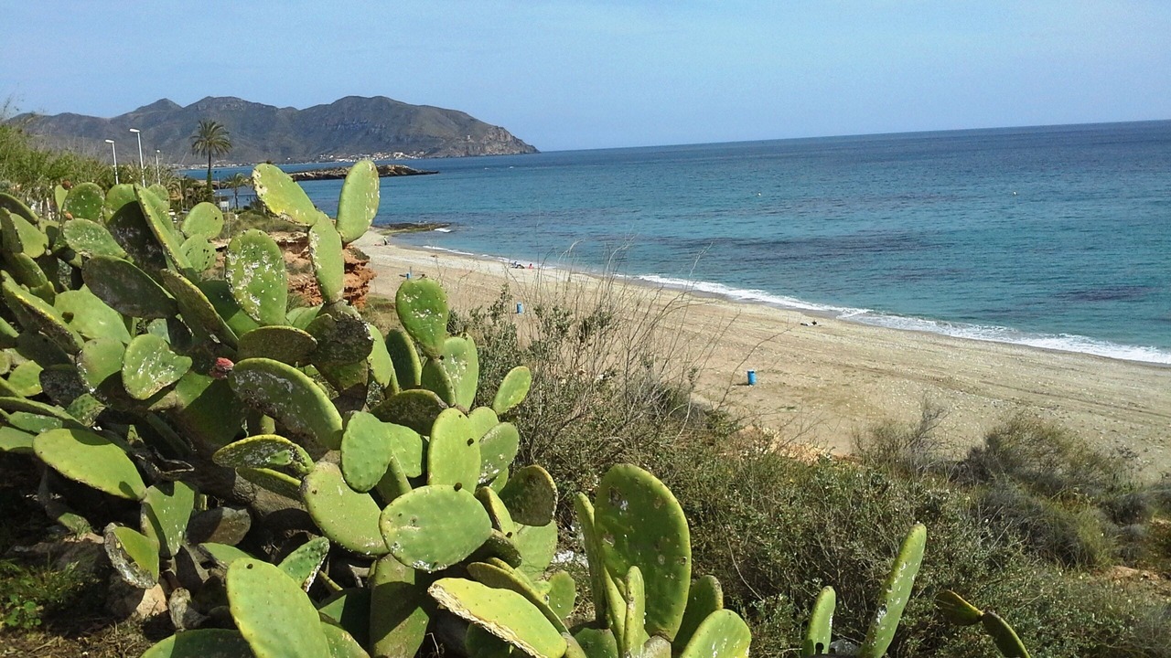 Photo of Others in Los Puertos