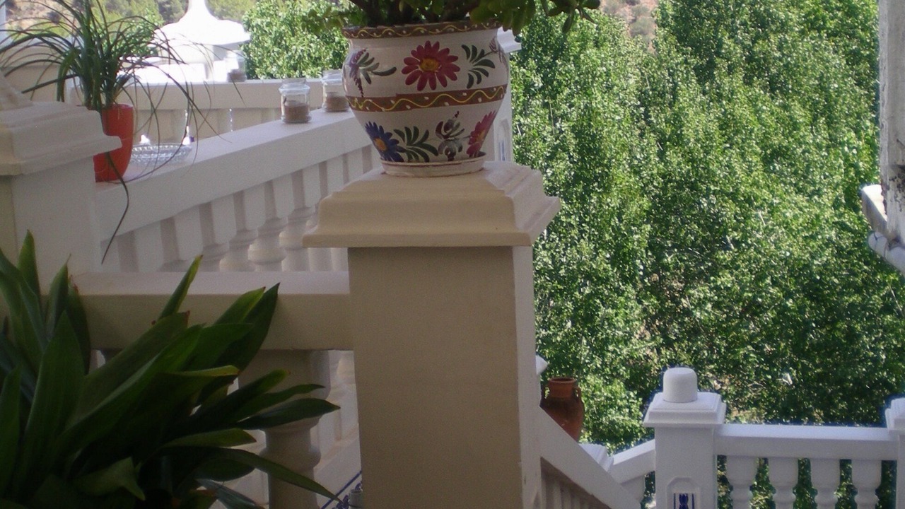 Photo of Outdoor in Anna
