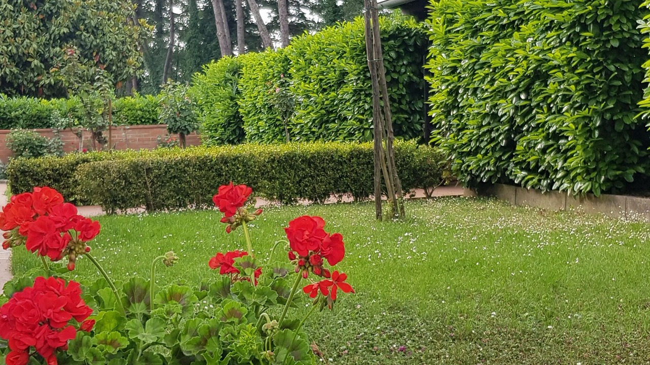 Photo of Outdoor in Monticiano