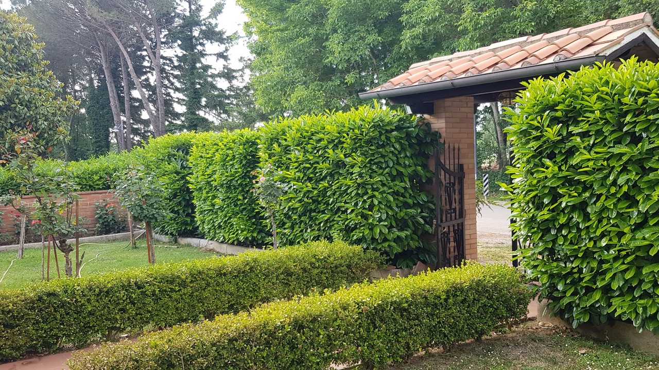 Photo of Outdoor in Monticiano