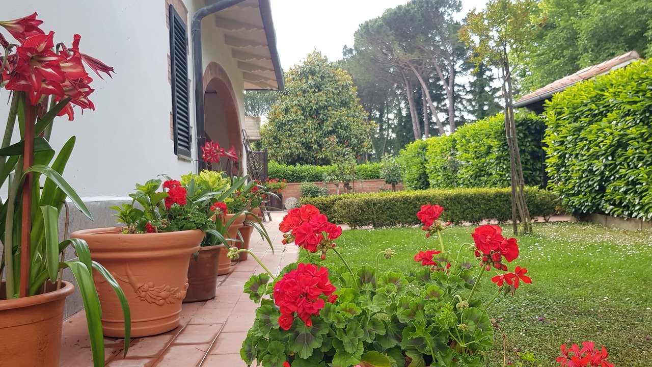 Photo of Outdoor in Monticiano