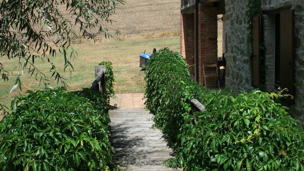 Photo of Others in Collazzone